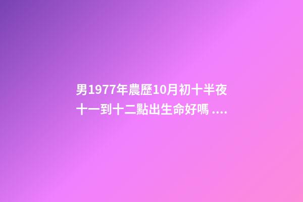 男1977年農歷10月初十半夜十一到十二點出生命好嗎 .農歷1977年十月初十辰時出生的人五行-第1張-觀點-玄機派